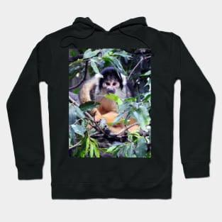 Squirrel Monkey Hoodie